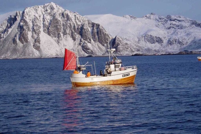 Tradisjonelt fiske medfører både utslipp av eksos og motorstøy – noe som er en HMS-belastning for fiskerne. Her fiskes det med garn fra tresjarken "MK Bårskjær" i Henningsværstraumen. (Foto: Hallvard Aasjord) Tradisjonelt fiske medfører både utslipp av eksos og motorstøy – noe som er en HMS-belastning for fiskerne. Her fiskes det med garn fra tresjarken "MK Bårskjær" i Henningsværstraumen. (Foto: Hallvard Aasjord)