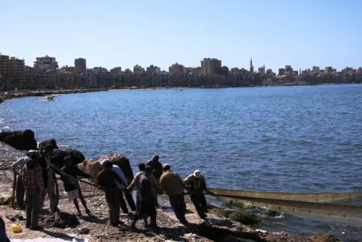 Fiskere i byen Alexandria som ligger på vestsiden av Nilens delta (Foto: Kristin Straumsheim Grønli)