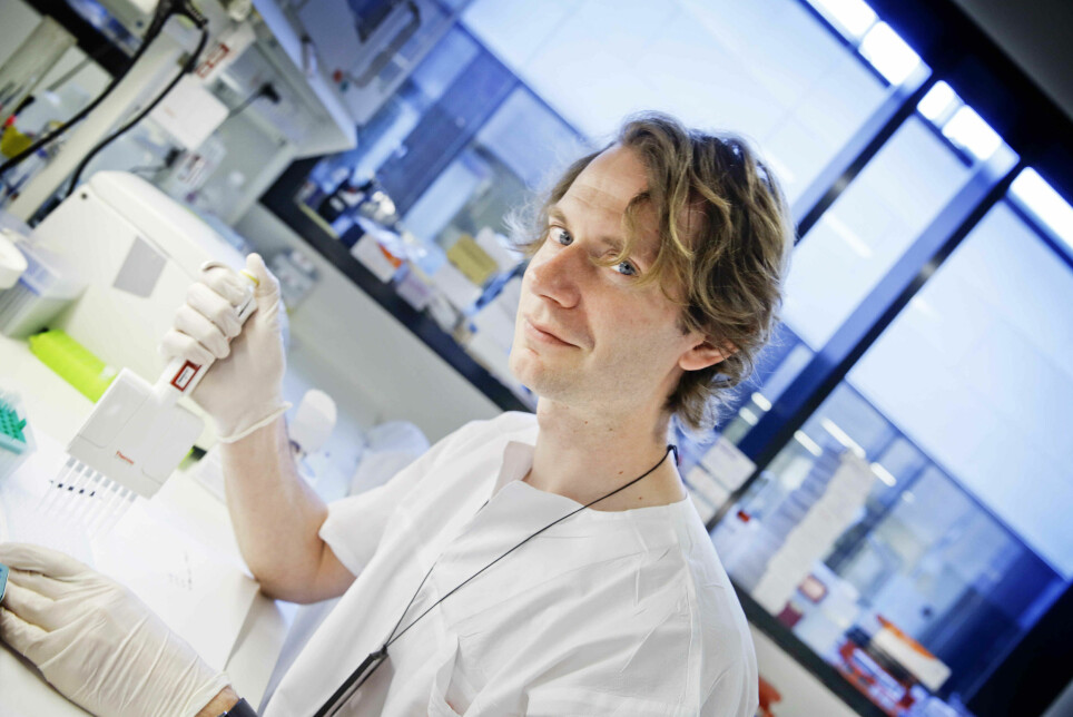 Lasse Pihlstrøm studerer 500 hjerneprøver som han har fått tilsendt fra en hjernebank i Amsterdam.