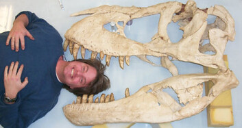 "Jørn Hurum i kjeven på en Tyrannosaurus." "Jørn Hurum i kjeven på en Tyrannosaurus."
