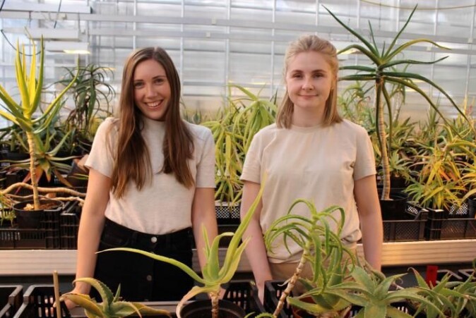 Karianne Uttgaard (t.v.) og Martine H. Nyrud opplevde begge at afrikanske liljer i veksthusene i Botanisk hage ble viktige. Karianne Uttgaard (t.v.) og Martine H. Nyrud opplevde begge at afrikanske liljer i veksthusene i Botanisk hage ble viktige.