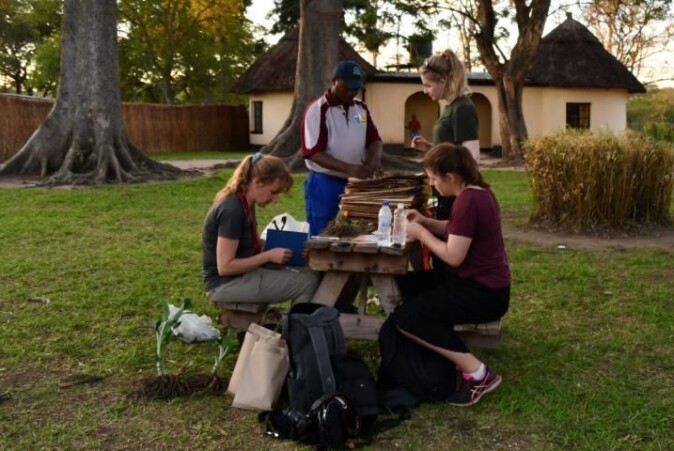 Her sorteres innsamlet materiale i Zimbabwe. Fra venstre: veileder Charlotte Sletten Bjorå, sjef for den botaniske hagen i Harare Christopher Chapano, Martine H. Nyrud og Malin Sævareid. Her sorteres innsamlet materiale i Zimbabwe. Fra venstre: veileder Charlotte Sletten Bjorå, sjef for den botaniske hagen i Harare Christopher Chapano, Martine H. Nyrud og Malin Sævareid.