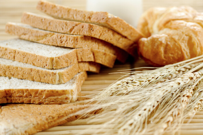 Frukt fra gress, som vi kaller korn, blir malt til mel eller brukt til matolje. Foto: (Foto: Surakit Harntongkul / Food Factory) Frukt fra gress, som vi kaller korn, blir malt til mel eller brukt til matolje. Foto: (Foto: Surakit Harntongkul / Food Factory)