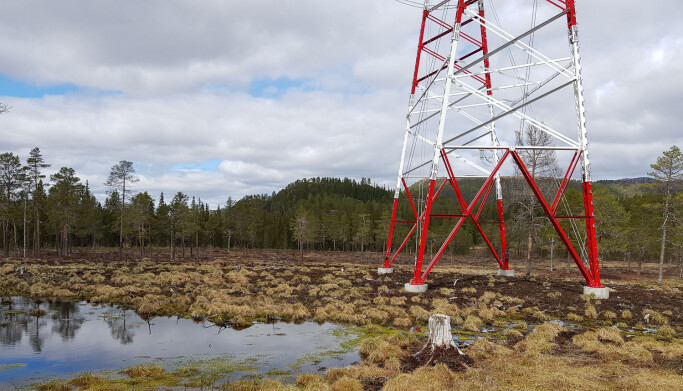 God arealplanlegging og restaureringstiltak minimerer skadeomfanget ved naturinngrep. God arealplanlegging og restaureringstiltak minimerer skadeomfanget ved naturinngrep.