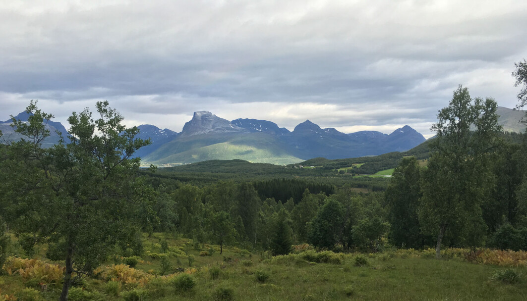 Karbonlageret i bakken er mye større enn karbonmengden i atmosfæren! Karbonlageret i bakken er mye større enn karbonmengden i atmosfæren!