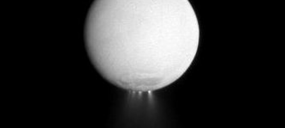 Minst fire fontener av frosset vann spruter ut fra sørpolen på Saturns måne Enceladus. Bildet er tatt av romsonden Cassini, 25 desember 2009. NASA/JPL/Space Science Institute