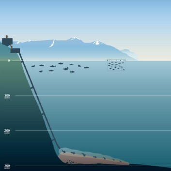Deponering av gruveavgang på dypt vann i en norsk fjord. (Foto: (Illustrasjon: Nordic Mining)) Deponering av gruveavgang på dypt vann i en norsk fjord. (Foto: (Illustrasjon: Nordic Mining))