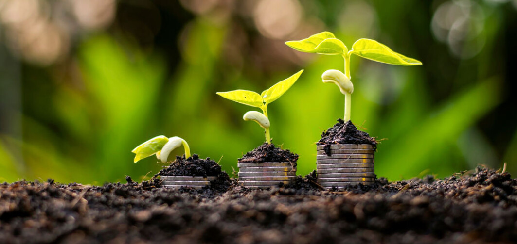 Det er ikkje berre vi menneske som set til sides ein penning eller to i banken! Plantene har òg sin måte å legge til sides til ein annan gong. Foto: Shutterstock. Det er ikkje berre vi menneske som set til sides ein penning eller to i banken! Plantene har òg sin måte å legge til sides til ein annan gong. Foto: Shutterstock.