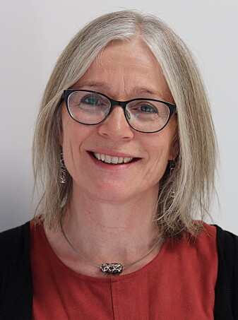 Professor Elisabet Rudjord Hillesund på Institutt for folkehelse og ernæring på Universitetet i Agder (UiA). Professor Elisabet Rudjord Hillesund på Institutt for folkehelse og ernæring på Universitetet i Agder (UiA).