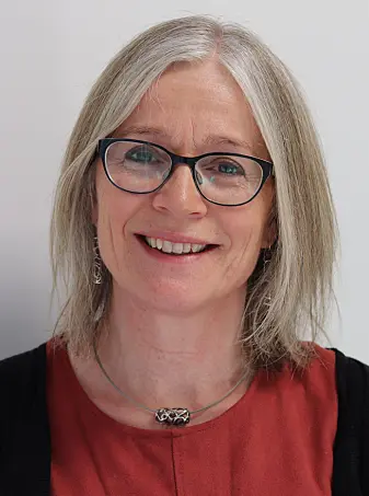 Professor Elisabet Rudjord Hillesund på Institutt for folkehelse og ernæring på Universitetet i Agder (UiA). Professor Elisabet Rudjord Hillesund på Institutt for folkehelse og ernæring på Universitetet i Agder (UiA).