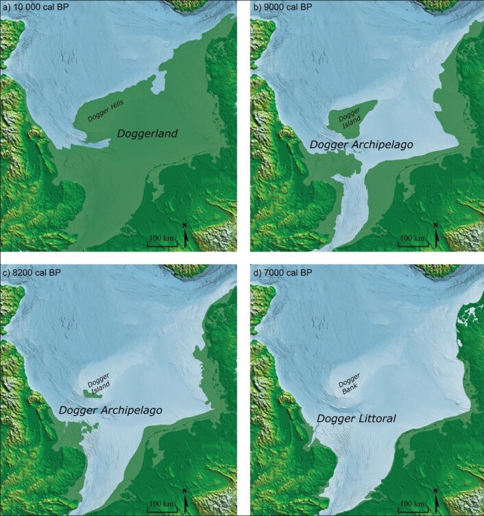 Denne figuren viser først selve Doggerland for omtrent 10 000 år siden (a). Etter at havet begynte å stige, ble mer og mer av landet dekket av vann. Rett før tsunamien (c), var mye allerede borte, ifølge den nye artikkelen. De lysegrønne feltene på kartet viser land som nå ligger under havet. Denne figuren viser først selve Doggerland for omtrent 10 000 år siden (a). Etter at havet begynte å stige, ble mer og mer av landet dekket av vann. Rett før tsunamien (c), var mye allerede borte, ifølge den nye artikkelen. De lysegrønne feltene på kartet viser land som nå ligger under havet.