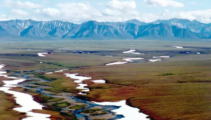 Det har i flere tiår vært diskutert å åpne kystsletten av Alaskas Arctic National Wildlife Refuge, som kalles area 1002, for oljeboring.