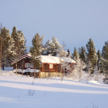 (Illustrasjonsfoto: iStockphoto) (Illustrasjonsfoto: iStockphoto)