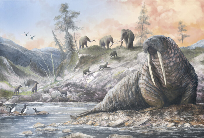 Hvalross, mammut og hyener var blant dyrene som levde i Doggerland. Hvalross, mammut og hyener var blant dyrene som levde i Doggerland.