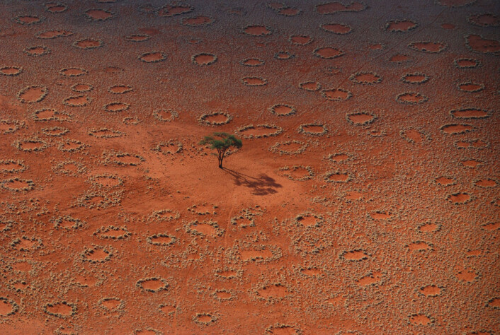 Flyfoto av de mystiske ringene i Namibrand, Namibia. (Foto: N. Juergens) Flyfoto av de mystiske ringene i Namibrand, Namibia. (Foto: N. Juergens)
