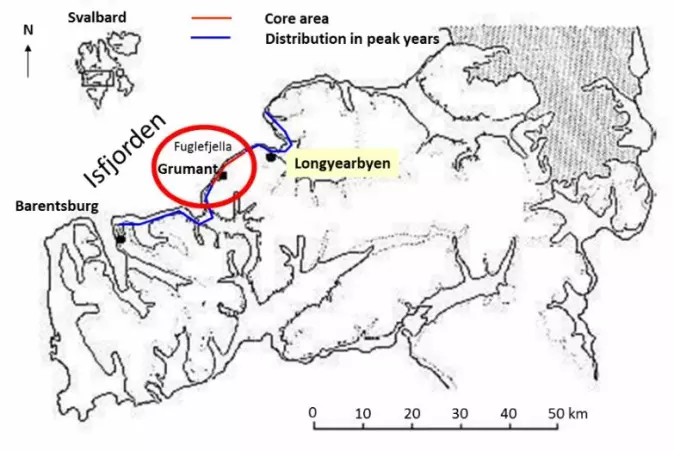 Kjerneområdet til østmarkmusa på Svalbard er i Grumant og Fuglefjella, indikert med rød linje/sirkel. Utbredelsesområdet med blå linje.