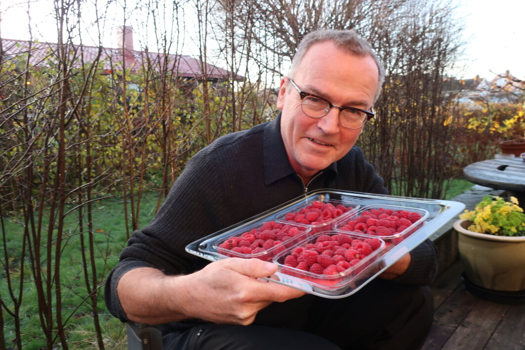 For bringebærnæringa er kartlegginga av den genetiske samansetjinga til bringbæret ein ressurs, seier Forskar Jahn Davik ved NIBIO. For bringebærnæringa er kartlegginga av den genetiske samansetjinga til bringbæret ein ressurs, seier Forskar Jahn Davik ved NIBIO.