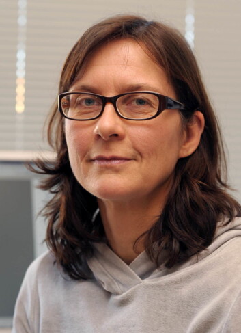 – Det kan være avgjørende at vi får mer grønnsaker inn i barnas kosthold mens de er små, sier professor Lene Frost Andersen. (Foto: (Gunnar F. Lothe, UiO)) – Det kan være avgjørende at vi får mer grønnsaker inn i barnas kosthold mens de er små, sier professor Lene Frost Andersen. (Foto: (Gunnar F. Lothe, UiO))