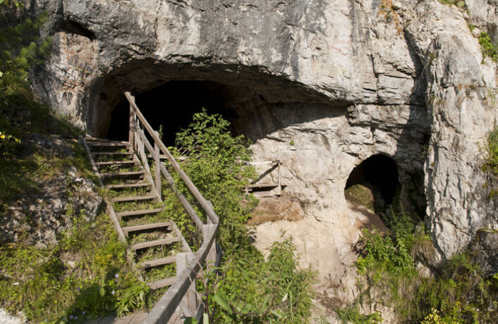 Denisova-hulen i de russiske Altaj-fjellene. Her er levninger etter den mer enn 50 000 år gamel urjenta funnet. (Foto: Max Planck Institute for Evolutionary Anthropology) Denisova-hulen i de russiske Altaj-fjellene. Her er levninger etter den mer enn 50 000 år gamel urjenta funnet. (Foto: Max Planck Institute for Evolutionary Anthropology)