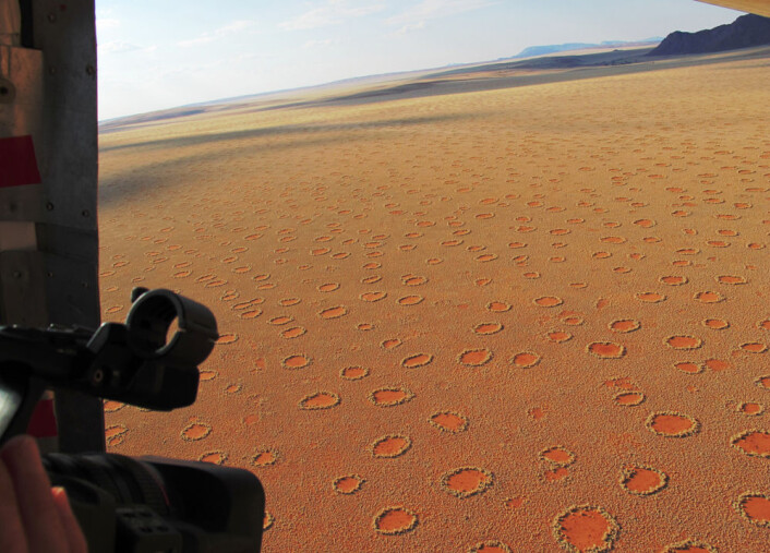 Fotoet - tatt ut den åpne døra på et fly - viser fullt utvokste sirkler med små begynnende ringer imellom. Fra Namibrand, Namibia. (Foto: N. Juergens) Fotoet - tatt ut den åpne døra på et fly - viser fullt utvokste sirkler med små begynnende ringer imellom. Fra Namibrand, Namibia. (Foto: N. Juergens)