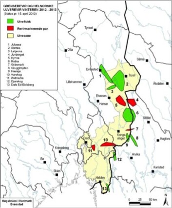 Oversikt over ulveflokkane og forvaltningssona til dei norske ulvane 2012-2013. (Foto: (Høgskolen i Hedmark)) Oversikt over ulveflokkane og forvaltningssona til dei norske ulvane 2012-2013. (Foto: (Høgskolen i Hedmark))