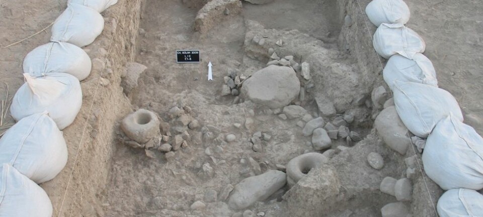 I Iran, på et arkeologisk funnsted kalt Chogha Golan, er det funnet rester etter sanking og bruk av både ville og dyrkede kornsorter. Det antyder at jordbruket kan ha oppstått samtidig på flere steder i den fruktbare halvmåne i Midtøsten. TISARP/University of Tübingen