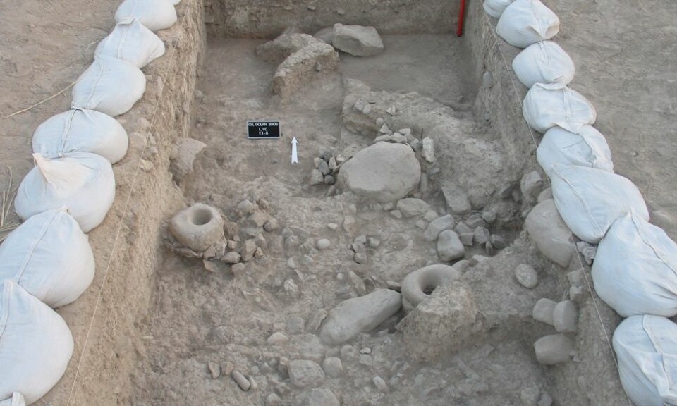 I Iran, på et arkeologisk funnsted kalt Chogha Golan, er det funnet rester etter sanking og bruk av både ville og dyrkede kornsorter. Det antyder at jordbruket kan ha oppstått samtidig på flere steder i den fruktbare halvmåne i Midtøsten. (Foto: TISARP/University of Tübingen)