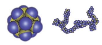 Fig. 2: Om delene i kapslene tiltrekker hverandre, kan de organisere seg i flere ulike strukturer. (Foto: (Illustrasjon: Physics Today, Angelo Cacciuto, Erik Luijten)) Fig. 2: Om delene i kapslene tiltrekker hverandre, kan de organisere seg i flere ulike strukturer. (Foto: (Illustrasjon: Physics Today, Angelo Cacciuto, Erik Luijten))