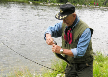 Tilreisende fiskere gjør at ringvirkningene av laksefiske i norske elver er betydelige. Svært mange av kundene er erfarne skandinaviske fiskere. (Foto: Trøndelag Forskning og Utvikling) Tilreisende fiskere gjør at ringvirkningene av laksefiske i norske elver er betydelige. Svært mange av kundene er erfarne skandinaviske fiskere. (Foto: Trøndelag Forskning og Utvikling)