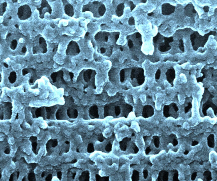 Porøse flak av polymerplast, laget ved osmotisk oppløsning av oligomerkuler i flak av polystyren. Foto: (Foto: Easan Sivaniah, Cavendish Laboratory, Cambridge University, Storbritannia) Porøse flak av polymerplast, laget ved osmotisk oppløsning av oligomerkuler i flak av polystyren. Foto: (Foto: Easan Sivaniah, Cavendish Laboratory, Cambridge University, Storbritannia)