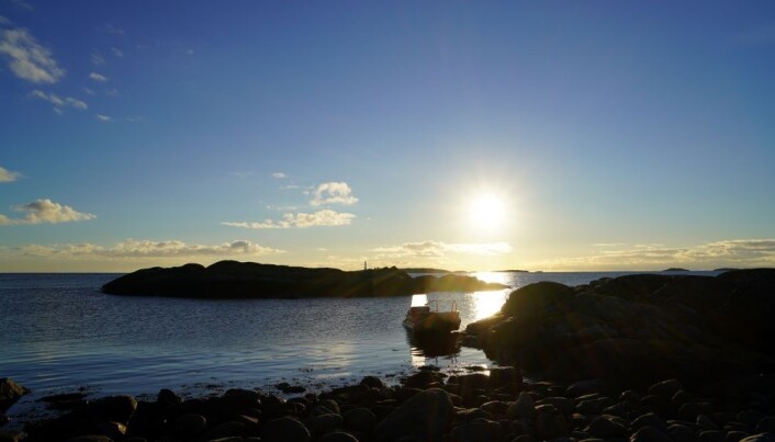 Skjærgården byr på mye, selv en kald november-/desembermorgen. Skjærgården byr på mye, selv en kald november-/desembermorgen.