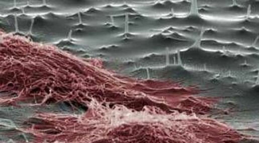 Nanonåler for celler