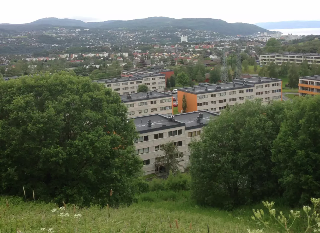 Vestlia borettslag i Trondheim er et boligområde bygd på 1970-tallet, hvor forskerne har undersøkt forskjellige scenarioer for rehabilitering.