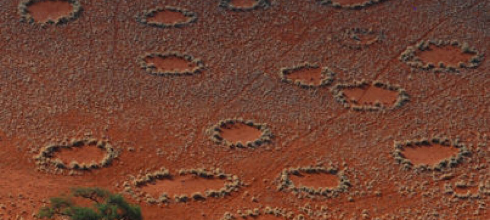 Flyfoto av de mystiske ringene i Namibrand, Namibia. N. Juergens