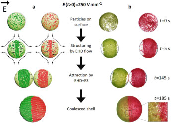 Fig. 3: Fremstilling av mosaikkolloidosomer. (Foto: (Illustrasjon: Nature Communications)) Fig. 3: Fremstilling av mosaikkolloidosomer. (Foto: (Illustrasjon: Nature Communications))