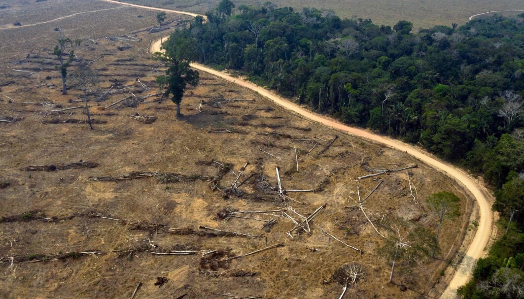 Norge har siden 2008 bidratt med hele 8,3 milliarder kroner for å bremse hogsten i Amazonas, som et ledd i arbeidet med å redusere utslipp av klimagasser. Norge har siden 2008 bidratt med hele 8,3 milliarder kroner for å bremse hogsten i Amazonas, som et ledd i arbeidet med å redusere utslipp av klimagasser.