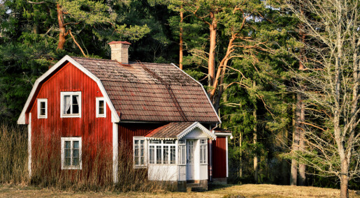 Hvorfor lengter unge etter et lite hus i skogen? Hvorfor lengter unge etter et lite hus i skogen?