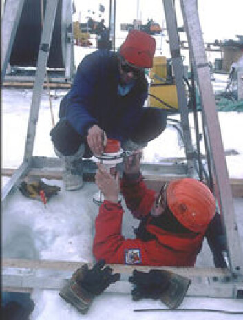 "Keith Nicholls (t.v.) fra Marine Research Institute i England og Svein Østerhus (t.h.) monterer norskproduserte måleinstrumenter på en signalkabel. Instrumentene blir senket gjennom 1000 meter tjukk is til havvatnet under isbremmen. Instrumentene måler havstrømmen, temperatur og saltforhold under den flytende isbremmen. Målingene blir sendt gjennom signalkabelen til overflata og videre via satellitt til forskerne i England og Norge. Foto: Privat." "Keith Nicholls (t.v.) fra Marine Research Institute i England og Svein Østerhus (t.h.) monterer norskproduserte måleinstrumenter på en signalkabel. Instrumentene blir senket gjennom 1000 meter tjukk is til havvatnet under isbremmen. Instrumentene måler havstrømmen, temperatur og saltforhold under den flytende isbremmen. Målingene blir sendt gjennom signalkabelen til overflata og videre via satellitt til forskerne i England og Norge. Foto: Privat."