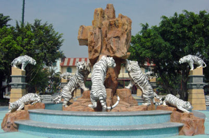 Hvite tigre er populære og egger fantasien til mennesker over hele verden. Bildet viser inngangspartiet til fornøyelsesparken Chimelong Paradise i Guangzhou. (Foto: Wikipedia Commons) Hvite tigre er populære og egger fantasien til mennesker over hele verden. Bildet viser inngangspartiet til fornøyelsesparken Chimelong Paradise i Guangzhou. (Foto: Wikipedia Commons)