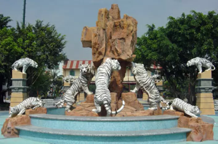 Hvite tigre er populære og egger fantasien til mennesker over hele verden. Bildet viser inngangspartiet til fornøyelsesparken Chimelong Paradise i Guangzhou. (Foto: Wikipedia Commons)