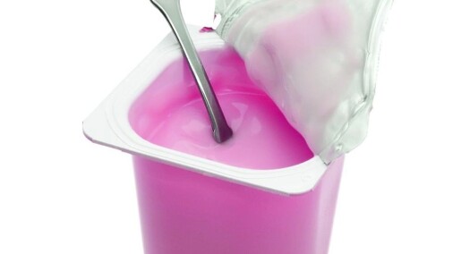 Skal det være en yoghurtvaksine? Skal det være en yoghurtvaksine?