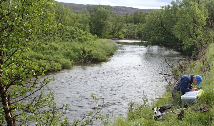 Feltarbeid ved Vesterelva i Finnmark. Feltarbeid ved Vesterelva i Finnmark.