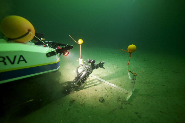 Her fra åpningsdagen av AUR-Lab hvor undervannsroboten Minerva fikk oppdraget med snorklipping – under vann. (Foto: Jussi Evertsen/NTNU AUR-Lab) Her fra åpningsdagen av AUR-Lab hvor undervannsroboten Minerva fikk oppdraget med snorklipping – under vann. (Foto: Jussi Evertsen/NTNU AUR-Lab)