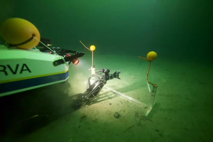 Her fra åpningsdagen av AUR-Lab hvor undervannsroboten Minerva fikk oppdraget med snorklipping – under vann. (Foto: Jussi Evertsen/NTNU AUR-Lab)