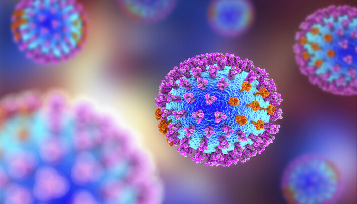 Influensavirus med proteinpigger på overflaten. Lilla er hemagglutinin og oransje er nevraminidase. Influensavirus med proteinpigger på overflaten. Lilla er hemagglutinin og oransje er nevraminidase.