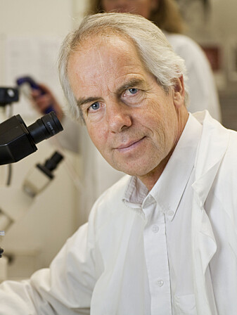 Bjarne Bogen er professor ved K.G. Jebsen-senter for forskning på influensavaksiner ved Universitetet i Oslo. Bjarne Bogen er professor ved K.G. Jebsen-senter for forskning på influensavaksiner ved Universitetet i Oslo.