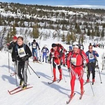 (Foto: Birkebeinerrennet) (Foto: Birkebeinerrennet)