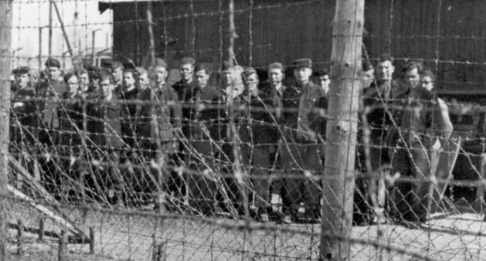 Sovjetiske krigsfanger bak gjerdet i Falstadleiren 8. mai 1945. Bildet er sannsynligvis tatt like etter at de norske fangene forlot leiren. (Foto: Falstadsenteret)