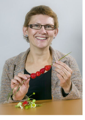 "Kjersti Aaby tar doktorgraden på jordbær. Foto: Kjell J. Merok." "Kjersti Aaby tar doktorgraden på jordbær. Foto: Kjell J. Merok."