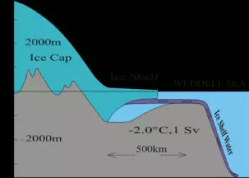 "Temperaturen inne i isbremmen er - 25 grader eller kaldere og havvatnet som kommer i kontakt med isen blir derfor kjølt ned til frysepunktet. På grunn av trykket er denne temperaturen lavere enn frysepunktemperaturen på overflaten (-1.9 grader). Der hvor isen er 1000 meter tjukk er det målt -2.6 grader i havvatnet uten at vannet fryser til is. Kilde: Svein Østerhus."